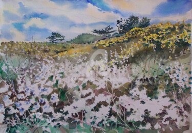 Plougonvelin, les prunelliers en fleurs sur le sentier côtier