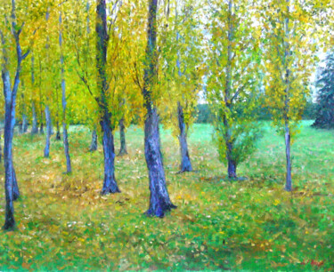 Álamos Poplars)