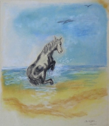 Cheval sortant de l'eau