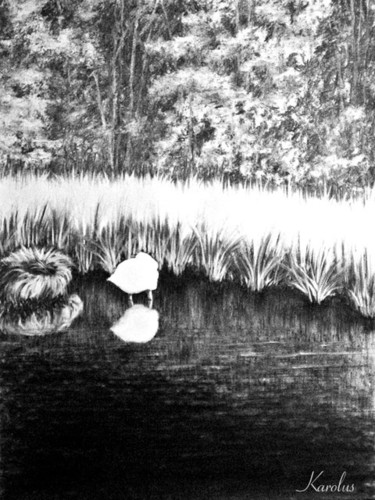 Drawing titled "Le cygne dort" by Karolus, Original Artwork, Charcoal