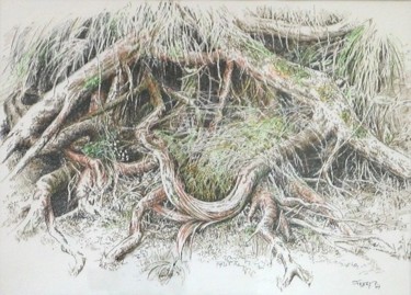 Dibujo titulada "Racines" por Pierre Fabry, Obra de arte original, Otro