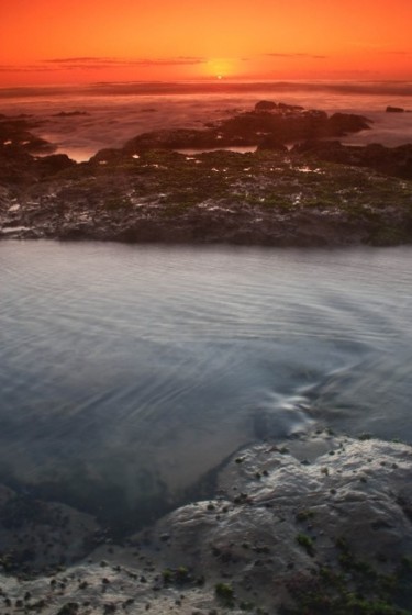 Fotografia intitulada "Landscapes 2" por Maria Teresa Duarte, Obras de arte originais