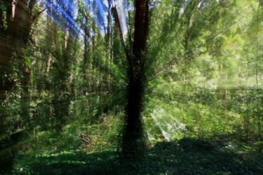 Fotografia intitulada "Landscapes 4" por Maria Teresa Duarte, Obras de arte originais
