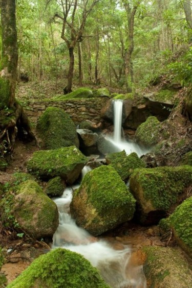 Fotografia intitulada "Landscapes 6" por Maria Teresa Duarte, Obras de arte originais
