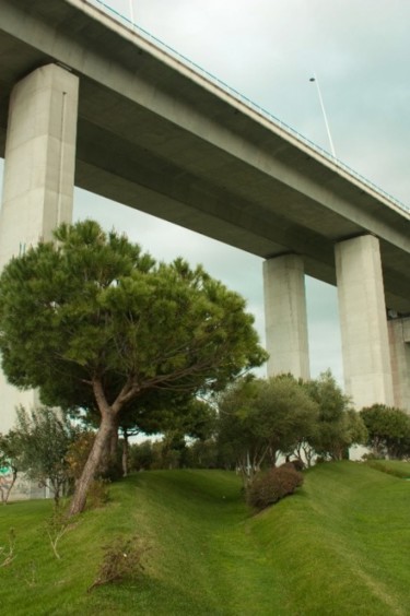 Fotografia intitulada "landscapes 5" por Maria Teresa Duarte, Obras de arte originais