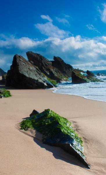 Fotografia intitulada "Landscapes 6" por Maria Teresa Duarte, Obras de arte originais
