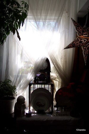 Φωτογραφία με τίτλο "seldom sleeps,  and…" από Chandra Leigh-Ayaz, Αυθεντικά έργα τέχνης