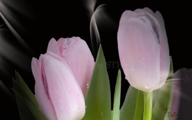 Fotografía titulada "Flores  de  amor" por Stella Khudyakova, Obra de arte original