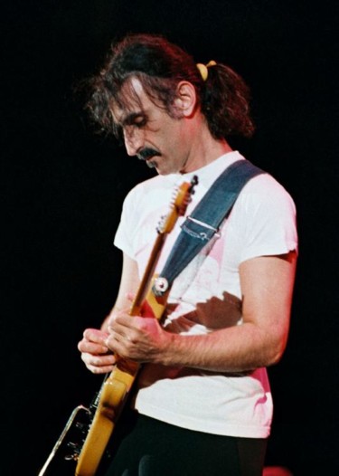 Photography titled "FRANK ZAPPA" by George Query, Original Artwork