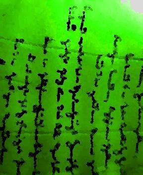 Digital Arts titled "Marx Poem Handwriti…" by Nick Mancuso, Original Artwork, Digital Painting