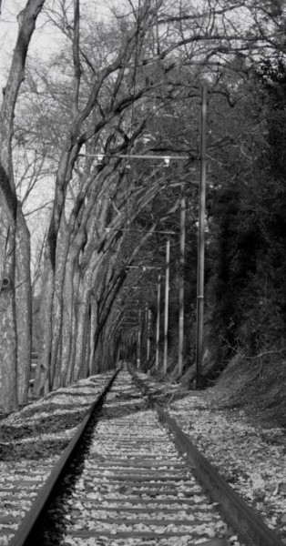 Fotografia intitulada ""Electrico de Sintr…" por Maria Teresa Duarte, Obras de arte originais