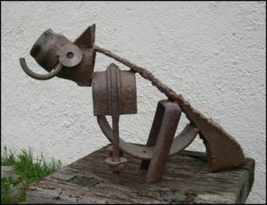 Phacochère 1