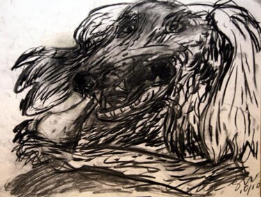 Dog and Bone