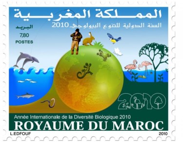 Installation intitulée "Biodiversité" par L.Edfouf, Œuvre d'art originale