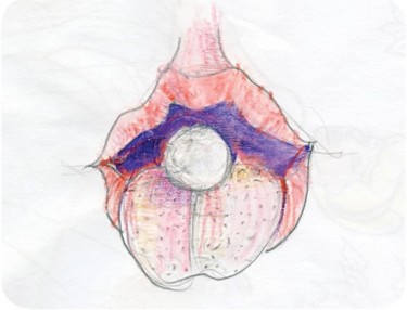 Dessin intitulée "Etude sur Bouche" par Sak, Œuvre d'art originale