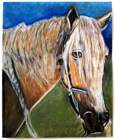 Caballo de Paso