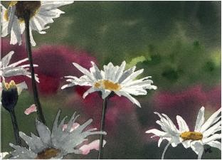 Painting titled "Daisies" by Marsha Elliott, Original Artwork