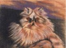 Drawing titled "Hannah" by Marsha Elliott, Original Artwork
