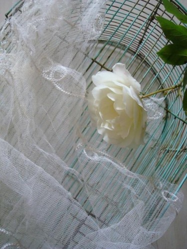 Photographie intitulée "Photo_32312_-_Copie…" par D A N ' I M A G ' I N, Œuvre d'art originale