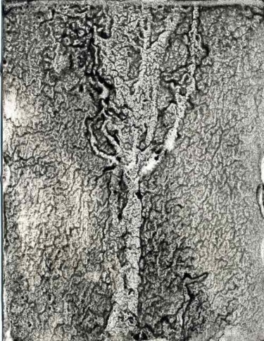 Peinture intitulée "arbre5.jpg" par Marie-Noelle Bauchot, Œuvre d'art originale