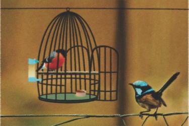 Pintura intitulada "liberdade e arte" por Josil, Obras de arte originais