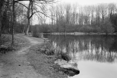 Les courbes