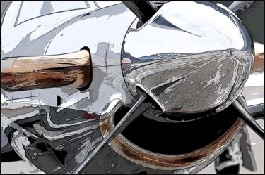 Photographie intitulée "PILATUS" par Jean Claude Lataste, Œuvre d'art originale