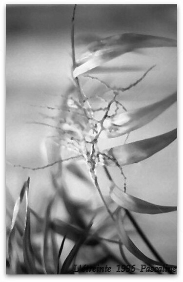 Photographie intitulée "L'étreinte" par Pascaline, Œuvre d'art originale