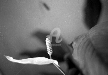 Photographie intitulée "La valseuse" par Pascaline, Œuvre d'art originale, Photographie argentique