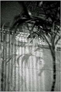 Photographie intitulée "La sereine" par Pascaline, Œuvre d'art originale, Photographie argentique