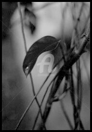 Photographie intitulée "La rêveuse" par Pascaline, Œuvre d'art originale, Photographie argentique