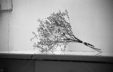 Photographie intitulée "le bouquet" par Pascaline, Œuvre d'art originale