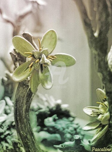 Arts numériques intitulée "La fleur en carton…" par Pascaline, Œuvre d'art originale, Peinture numérique