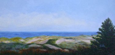 Race Point, Cape Cod, Massachusetts Painting titled "Race Point, Cape Co…" by Joan Cole, Original Artwork, Oil