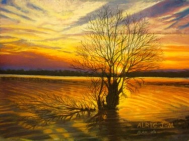 Peinture intitulée "coucher sur le lac" par Jean-Marc Alric, Œuvre d'art originale, Huile