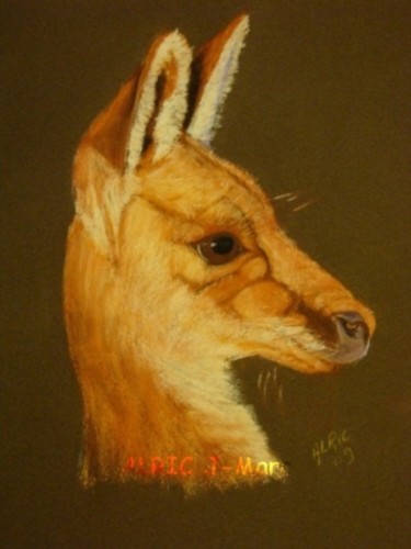 Dessin intitulée "Kangourou" par Jean-Marc Alric, Œuvre d'art originale, Pastel