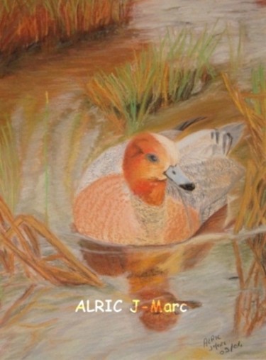 Peinture intitulée "Canard" par Jean-Marc Alric, Œuvre d'art originale