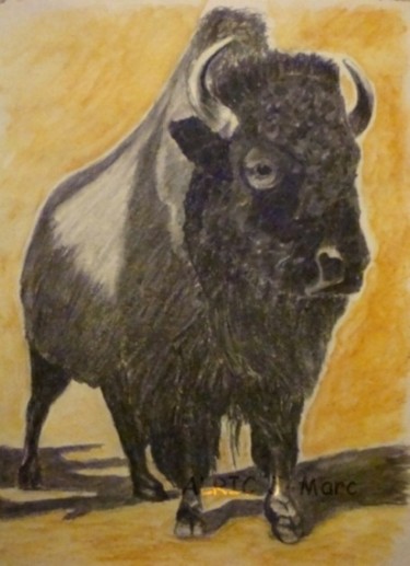 Peinture intitulée "Bison" par Jean-Marc Alric, Œuvre d'art originale, Huile