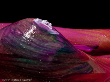 Photography titled "Porcelaine pourpre" by Patrice Fautrat, Original Artwork