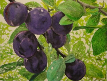 Painting titled "PRUNES  BLEUES" by Michel Cendra-Terrassa, Original Artwork