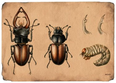 Peinture intitulée "Lucanus cervus" par Florence Dellerie, Œuvre d'art originale