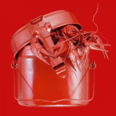 Φωτογραφία με τίτλο "Red Lunch I." από Van O, Αυθεντικά έργα τέχνης, Φωτογραφική ταινία