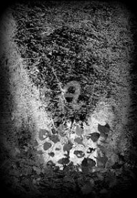 Photographie intitulée "la forêt en retour/6" par Pascaline, Œuvre d'art originale