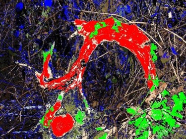 Fotografie mit dem Titel "Arabesque fantastiq…" von Jean-Pierre Merlhou, Original-Kunstwerk
