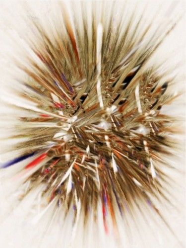 Arts numériques intitulée "L'IMPOSSIBLE RENCON…" par Francine Barbaray, Œuvre d'art originale