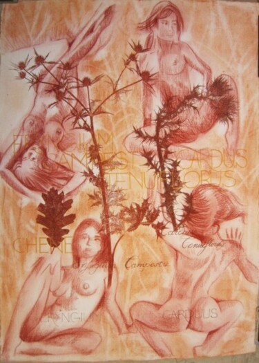 Σχέδιο με τίτλο "PLANCHE BOTANIQUE I" από Michel Moskovtchenko, Αυθεντικά έργα τέχνης, Άλλος