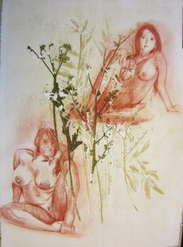 PLANCHE BOTANIQUE IV Σχέδιο με τίτλο "PLANCHE BOTANIQUE IV" από Michel Moskovtchenko, Αυθεντικά έργα τέχνης, Άλλος