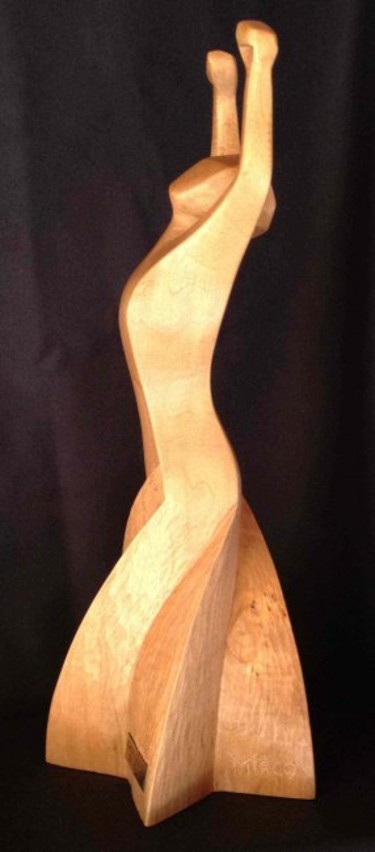trophée mérite sportif Conseil Général