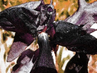 Arts numériques intitulée "ENTRE LA GRAINE ET…" par Francine Barbaray, Œuvre d'art originale