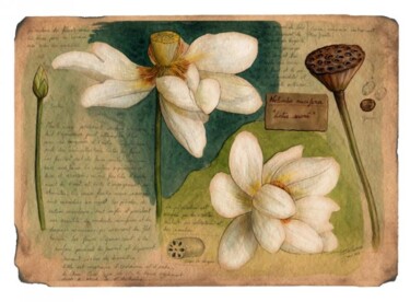 Peinture intitulée "Lotus sacré" par Florence Dellerie, Œuvre d'art originale